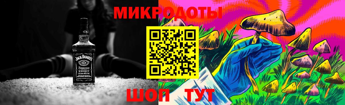 Псилоцибиновые грибы Psilocybine cubensis Петрозаводск