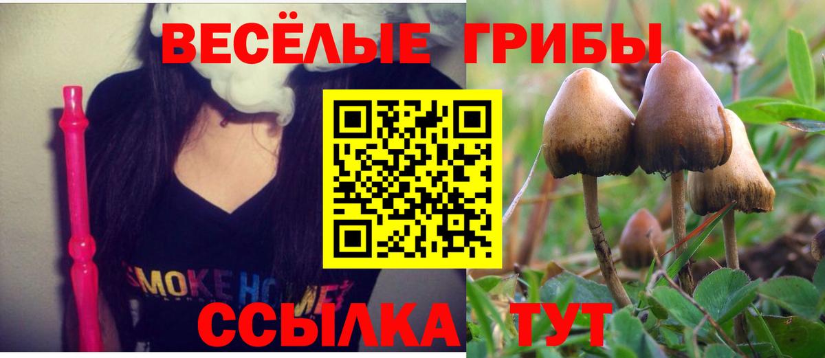 Псилоцибиновые грибы MAGIC MUSHROOMS  Вход с VPN  Псилоцибиновые грибы Psilocybine cubensis  Петрозаводск 